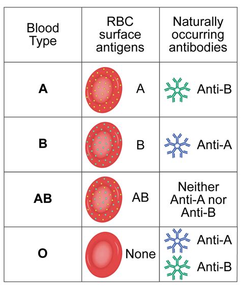 analyzer lab blood typing|blood test to check type.